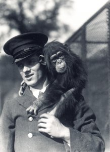 Verzorger F. Shelly met chimpansee Johnnie of Marco in ZSL London Zoo